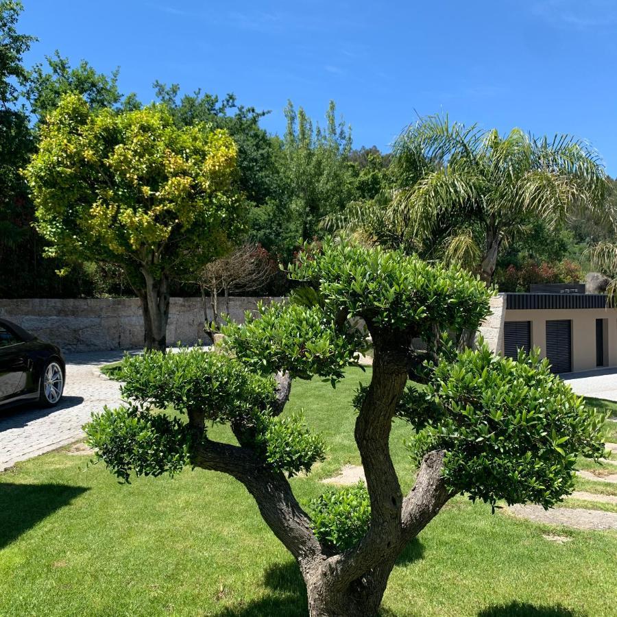 Ferienwohnung Quinta De Santa Ana, Em Vizela Infias Exterior foto